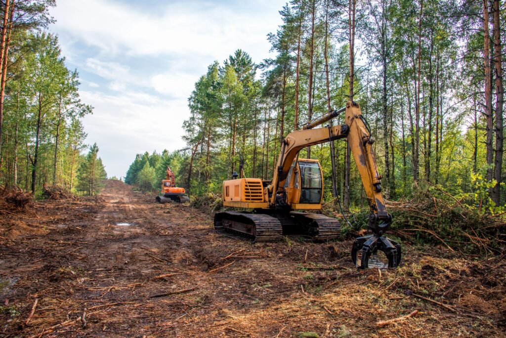 LAND CLEARING