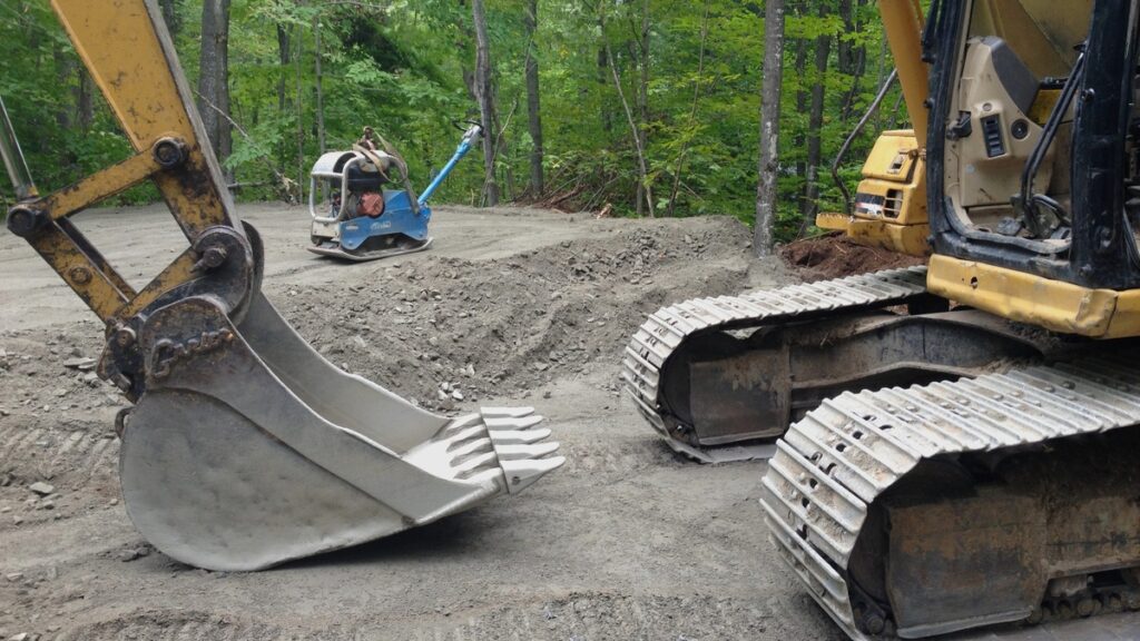 Where We Come From ​