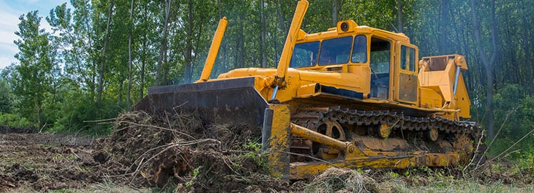 land-clearing-bloddzer